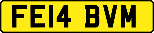 FE14BVM
