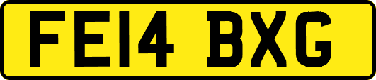FE14BXG