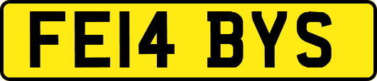 FE14BYS