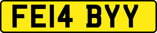 FE14BYY