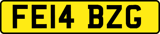 FE14BZG