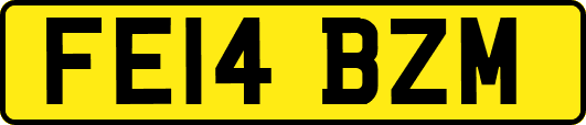 FE14BZM