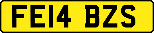 FE14BZS
