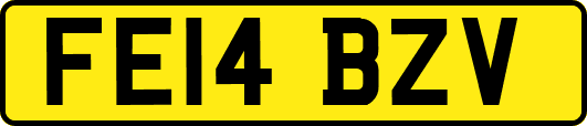 FE14BZV