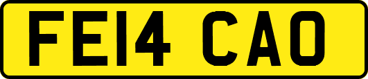 FE14CAO