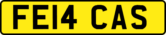 FE14CAS