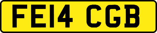 FE14CGB