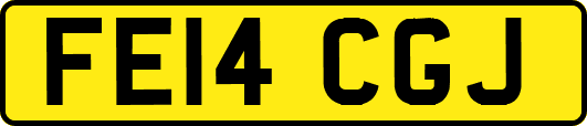 FE14CGJ