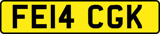 FE14CGK