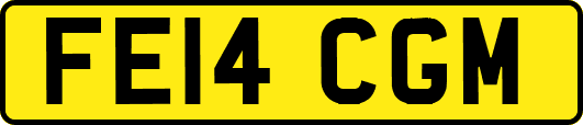FE14CGM