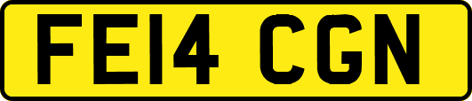 FE14CGN