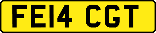 FE14CGT