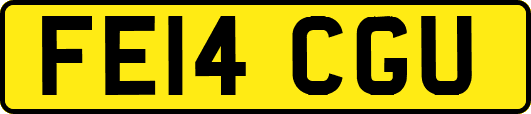 FE14CGU