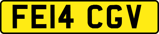 FE14CGV