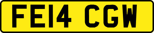 FE14CGW
