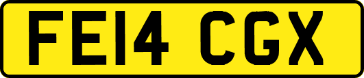 FE14CGX