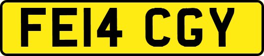 FE14CGY
