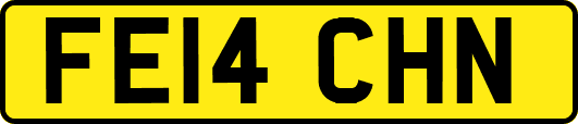 FE14CHN