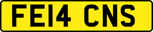 FE14CNS