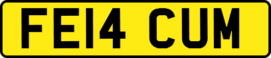 FE14CUM