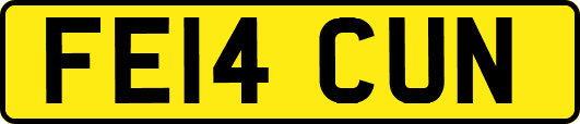 FE14CUN