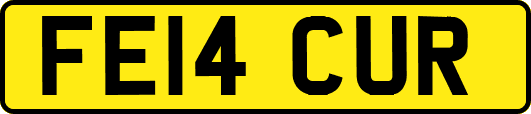 FE14CUR