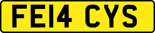 FE14CYS