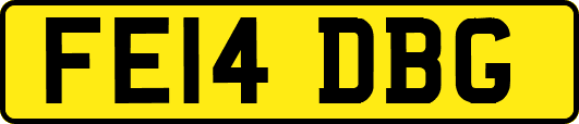 FE14DBG