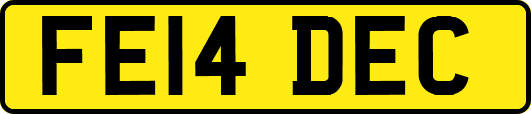 FE14DEC