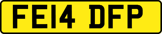 FE14DFP