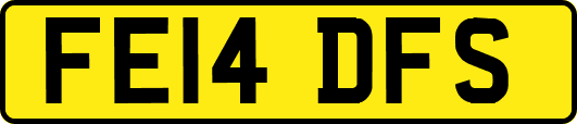 FE14DFS