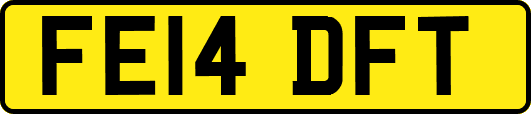 FE14DFT