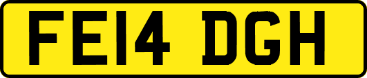FE14DGH