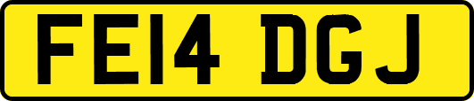 FE14DGJ