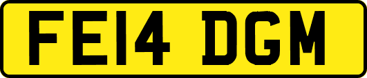 FE14DGM