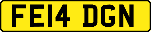 FE14DGN