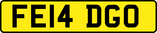 FE14DGO