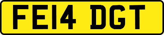 FE14DGT
