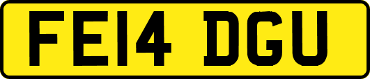FE14DGU