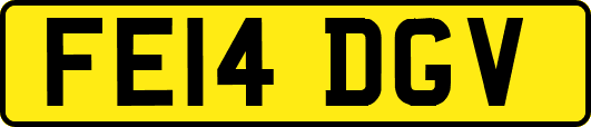 FE14DGV