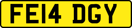 FE14DGY