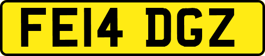 FE14DGZ