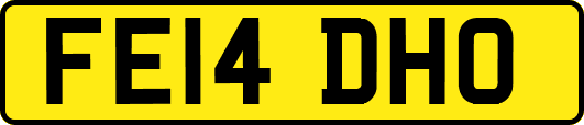 FE14DHO