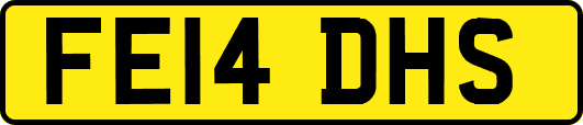 FE14DHS