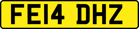 FE14DHZ