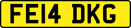 FE14DKG