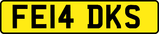 FE14DKS