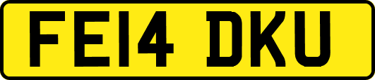 FE14DKU