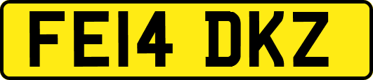 FE14DKZ
