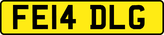 FE14DLG